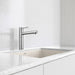 Pvd Steel - BLANCO Alta II Bar Faucet