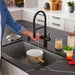 Matte Black - BLANCO Catris Flexo Filter-Ready Semi-Pro Pull-Down Dual-Spray Kitchen Faucet