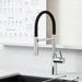 Chrome - BLANCO Catris Flexo Semi-Pro Pull-Down Dual-Spray Kitchen Faucet