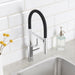 Chrome - BLANCO Catris Flexo Semi-Pro Pull-Down Dual-Spray Kitchen Faucet