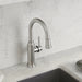 Pvd Steel - BLANCO Empressa Pull-Down Bar Faucet