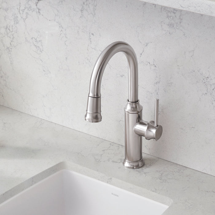 Pvd Steel - BLANCO Empressa Pull-Down Bar Faucet