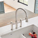 Pvd Steel - BLANCO Empressa Pull-Down Dual-Spray Bridge Faucet