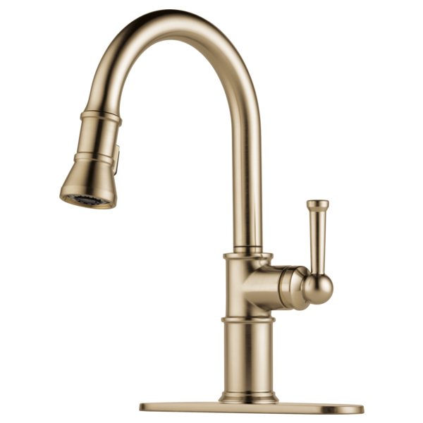 Brizo Artesso 63025LF Single Handle Pull-Down Kitchen Faucet
