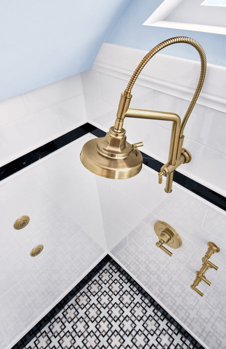 Brizo Essential Shower 81376 10 7/16" Classic Slide Bar Shower Arm And Flange