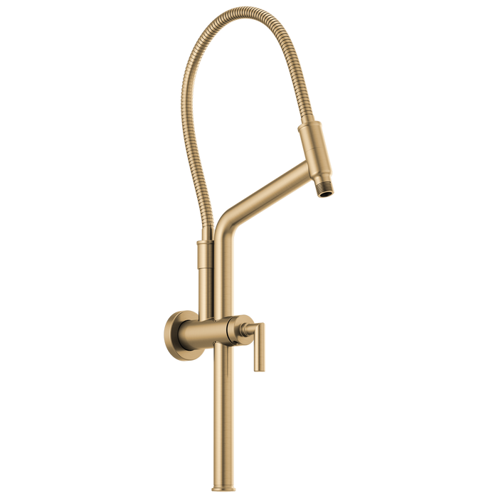 Brizo Essential Shower 81892 10 7/16" Linear Round Slide Bar Shower Arm And Flange