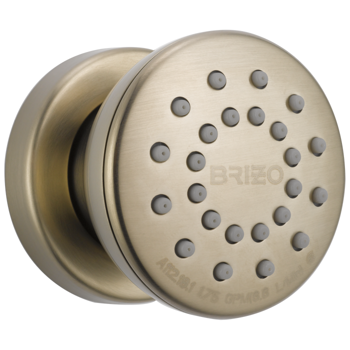 Brizo Essential Shower 84110 Touch-Clean Round Body Spray