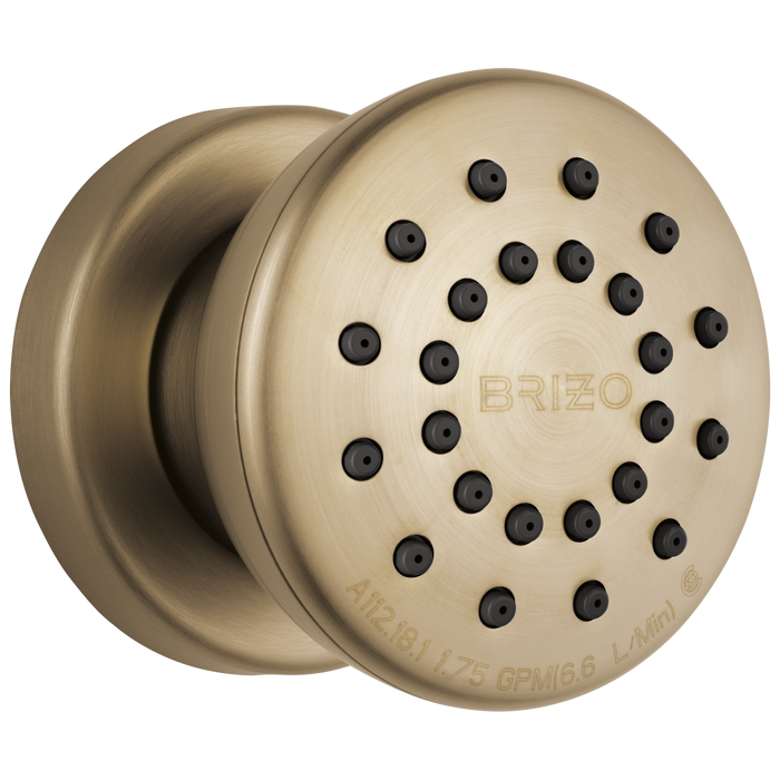 Brizo Essential Shower 84110 Touch-Clean Round Body Spray