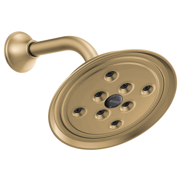 Brizo Essential Shower 87305 7" Classic Round H20Kinetic Single Function Wall Mount Showerhead