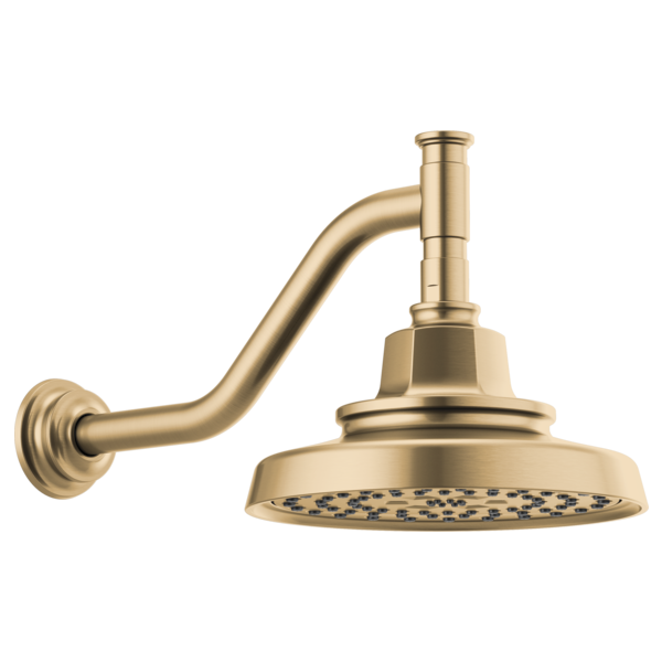Brizo Invari 87476 H2OKINETIC Round Multi-Function Showerhead