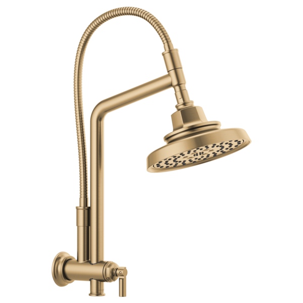 Brizo Invari 87476 H2OKINETIC Round Multi-Function Showerhead