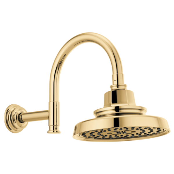 Brizo Invari 87476 H2OKINETIC Round Multi-Function Showerhead