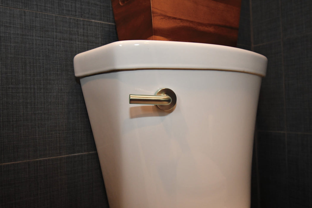 Brizo Litze 696335 Universal Flush Lever
