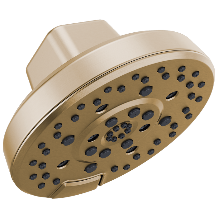 Brizo Levoir 87498 H2OKINETIC Round Multi-Function Showerhead
