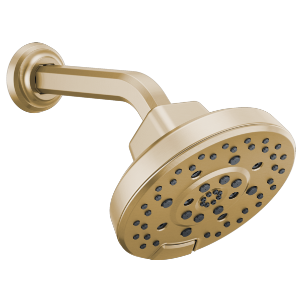 Brizo Levoir 87498 H2OKINETIC Round Multi-Function Showerhead