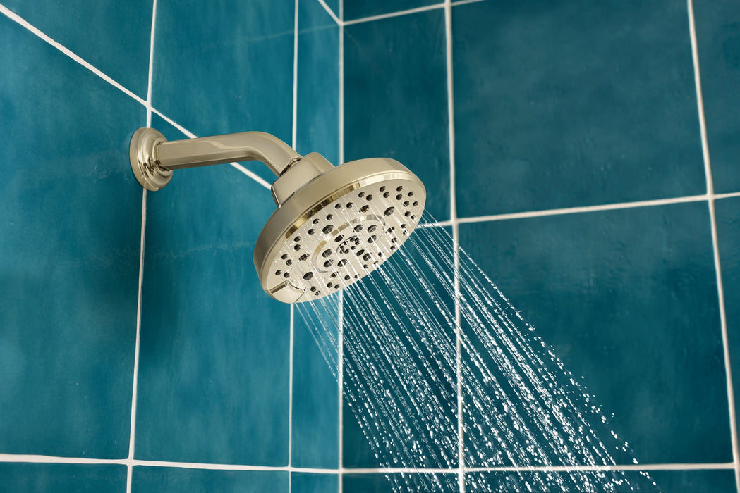 Brizo Levoir 87498 H2OKINETIC Round Multi-Function Showerhead