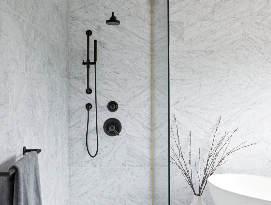 Brizo Odin 692475 24" Towel Bar
