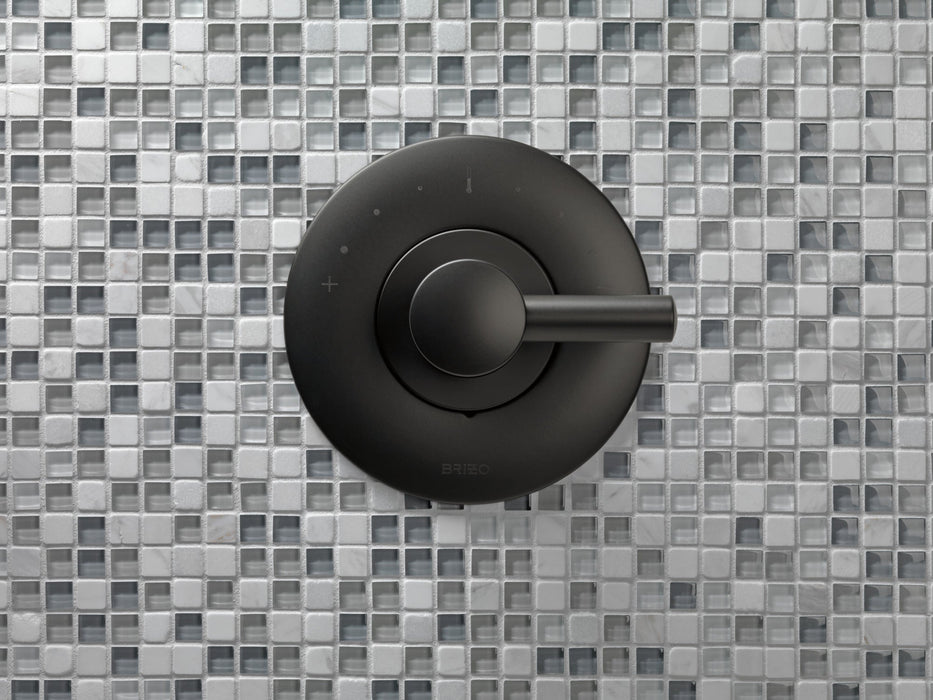 Brizo Jason Wu for Brizo HL6675 Sensori Thermostatic Trim Lever Handle