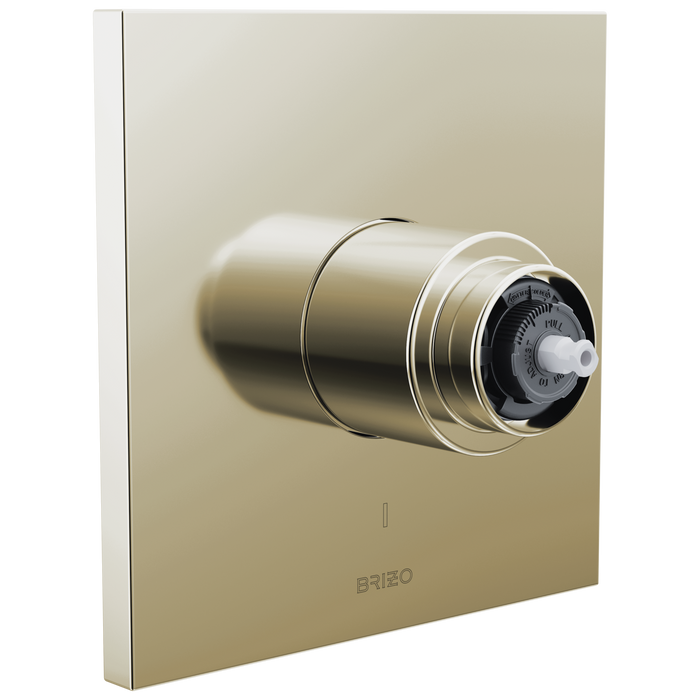 Brizo Frank Lloyd Wright T60P022 Pressure Balance Valve Only Trim - Less Handle