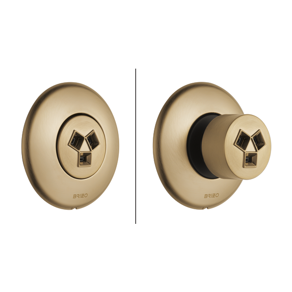 Brizo Essential Shower T84613 Hydrachoice Max Round Body Spray Trim