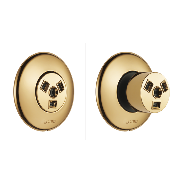 Brizo Essential Shower T84613 Hydrachoice Max Round Body Spray Trim