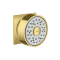 Brushed Gold Optic