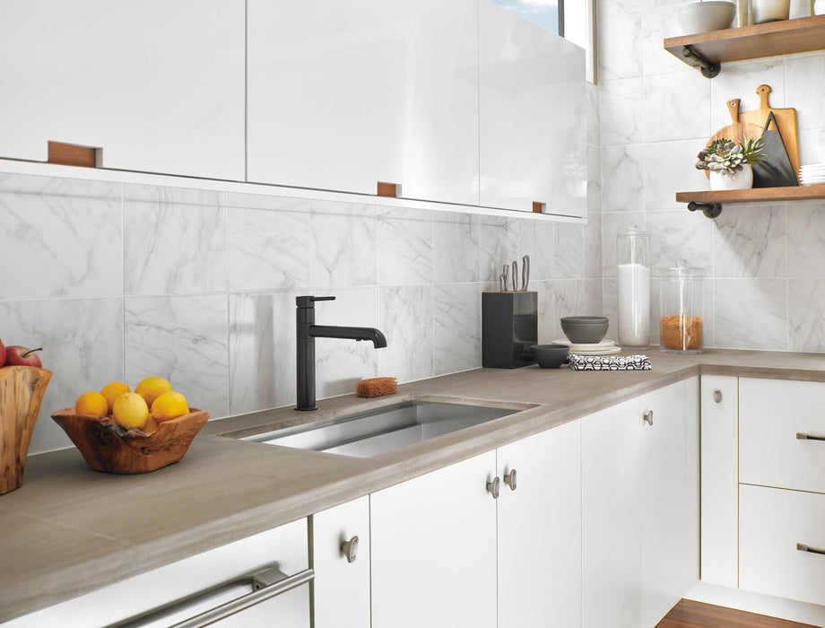 Delta Trinsic 4159 Single Handle Pull-Out Kitchen Faucet