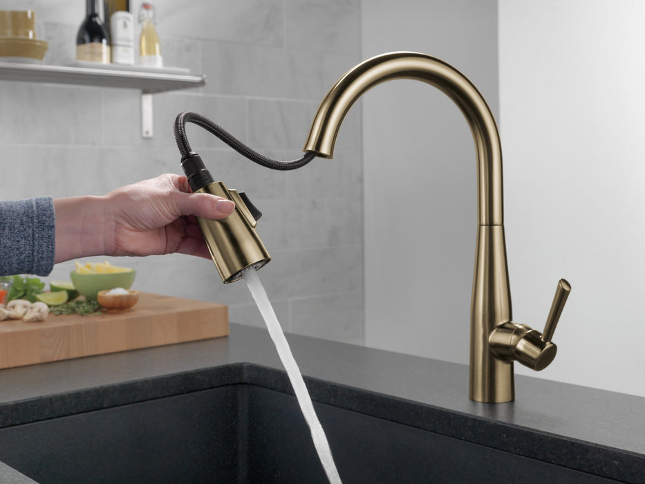Delta Essa 9113 Single Handle Pull-Down Kitchen Faucet