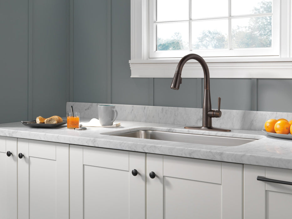 Delta Essa 9113 Single Handle Pull-Down Kitchen Faucet