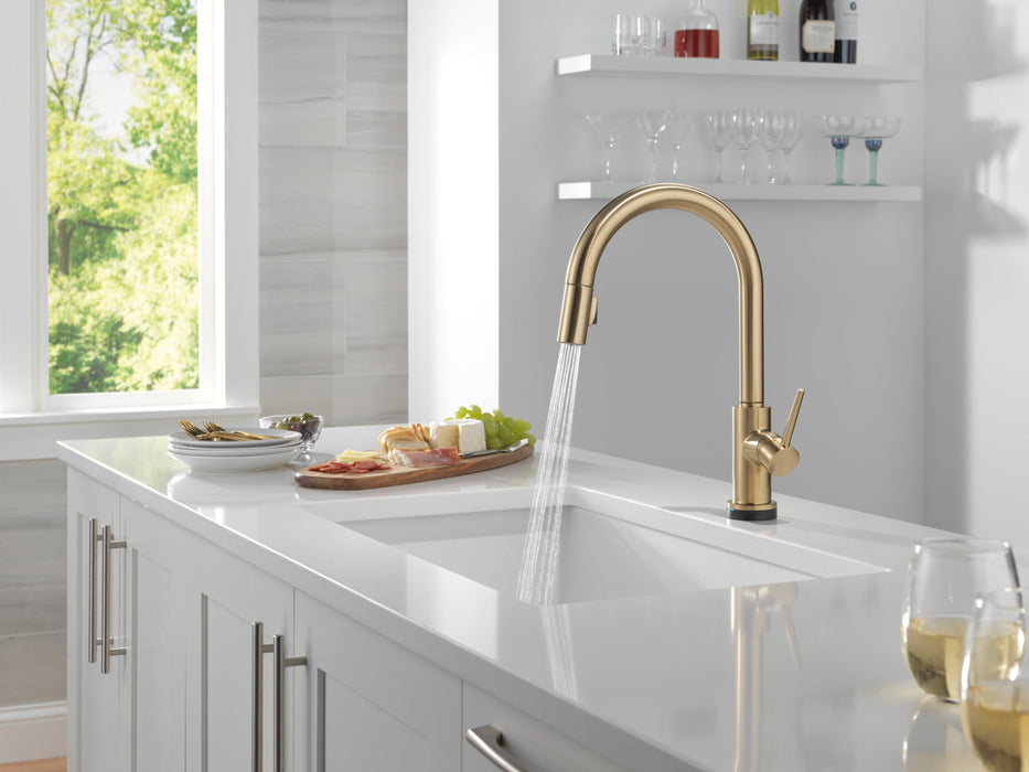 Delta Trinsic 9159TL TouchTouch 2O Technology Kitchen Faucet with Touchless Technology