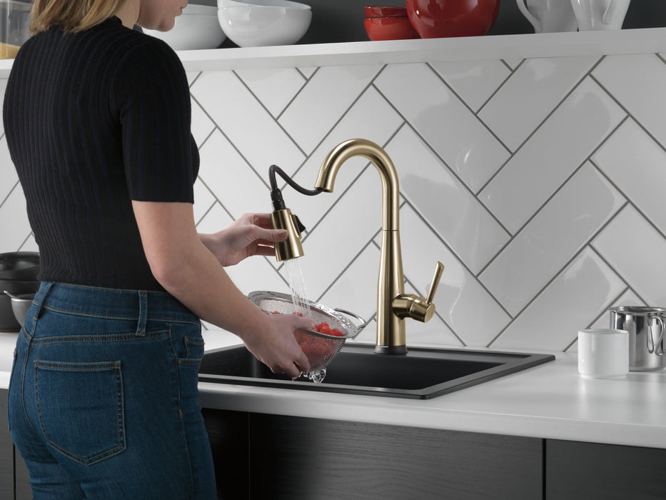 Delta Essa 9913T Single Handle Pull-Down Bar / Prep Faucet with TouchTouch 2O Technology