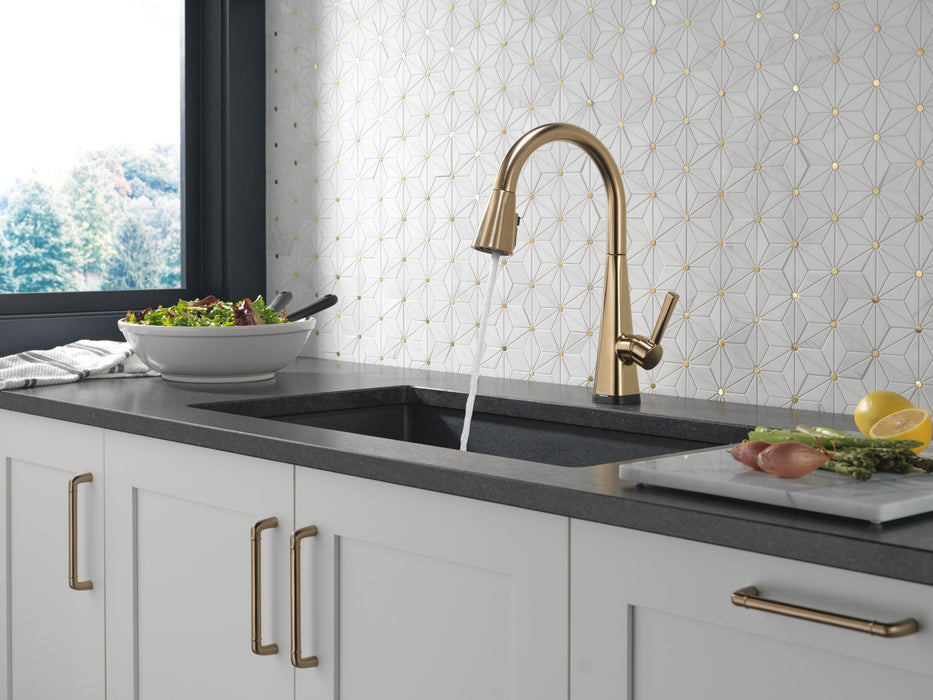 Delta Lenta 19802TZ Single-Handle Pull-Down Kitchen Faucet with TouchTouch 2O Technology