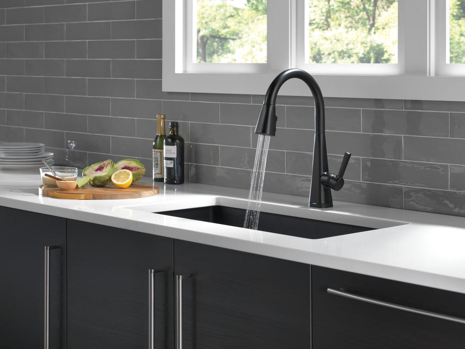 Delta Lenta 19802TZ Single-Handle Pull-Down Kitchen Faucet with TouchTouch 2O Technology