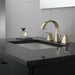 Delta Trillian™: Two Handle Widespread Bathroom Faucet, lumicoat polished nickel - view 2