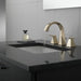 Delta Trillian™: Two Handle Widespread Bathroom Faucet, lumicoat polished nickel - view 3
