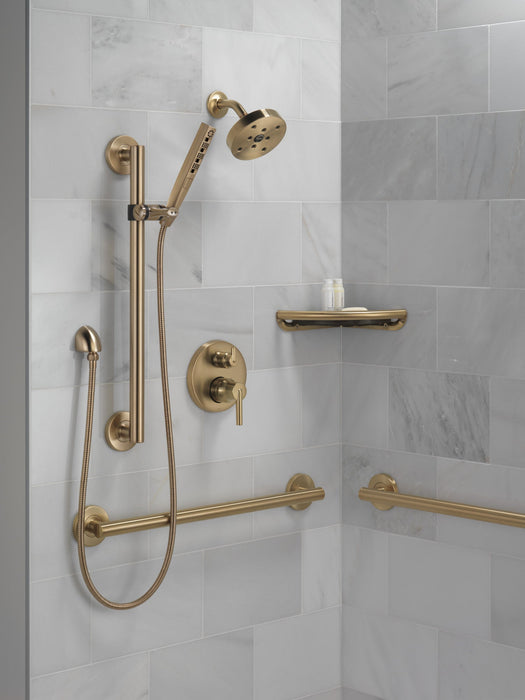 Delta BathSafety 41824 24" Contemporary Decorative ADA Grab Bar