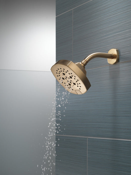 Delta Universal Showering Components 52663 H2OKINETIC 5-Setting Shower Head