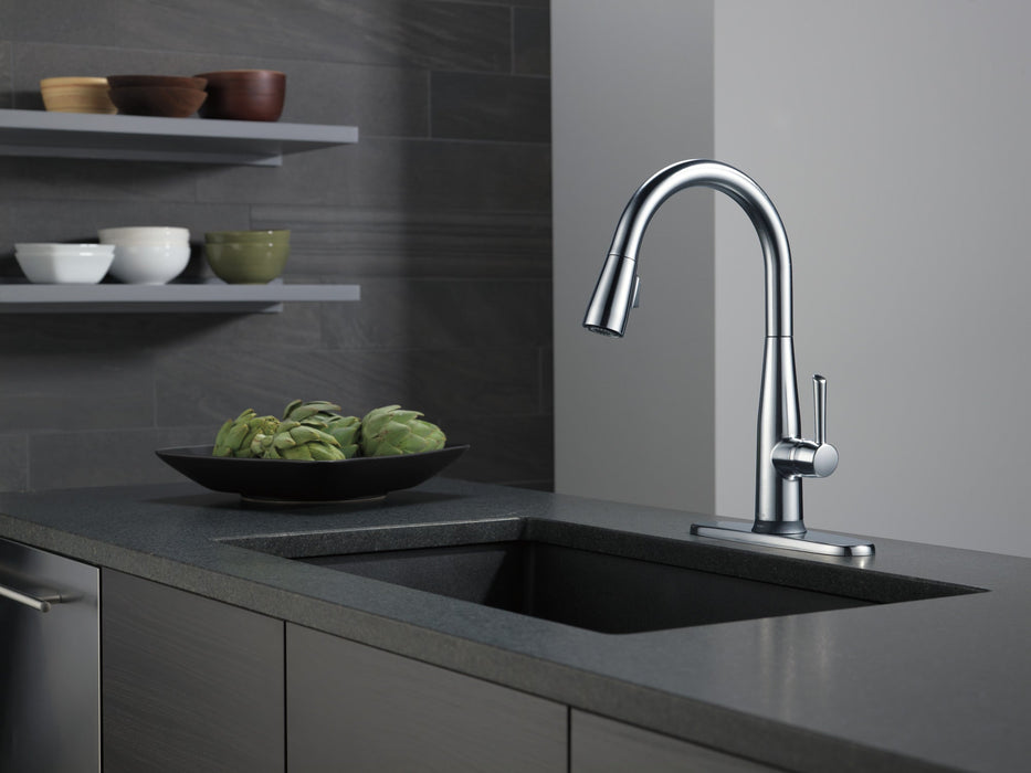 Delta Essa 9113TV VoiceIQ Single Handle Pull-Down Faucet with TouchTouch 2O Technology
