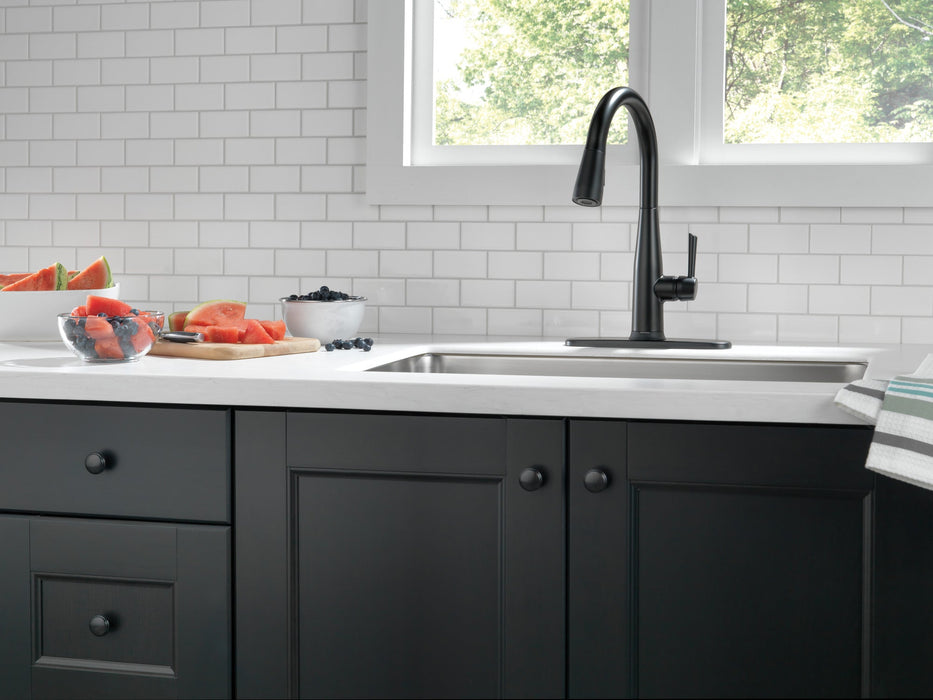 Delta Essa 9113TV VoiceIQ Single Handle Pull-Down Faucet with TouchTouch 2O Technology