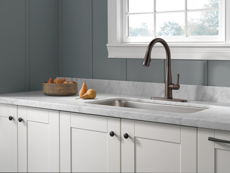 Delta Essa 9113TV VoiceIQ Single Handle Pull-Down Faucet with TouchTouch 2O Technology