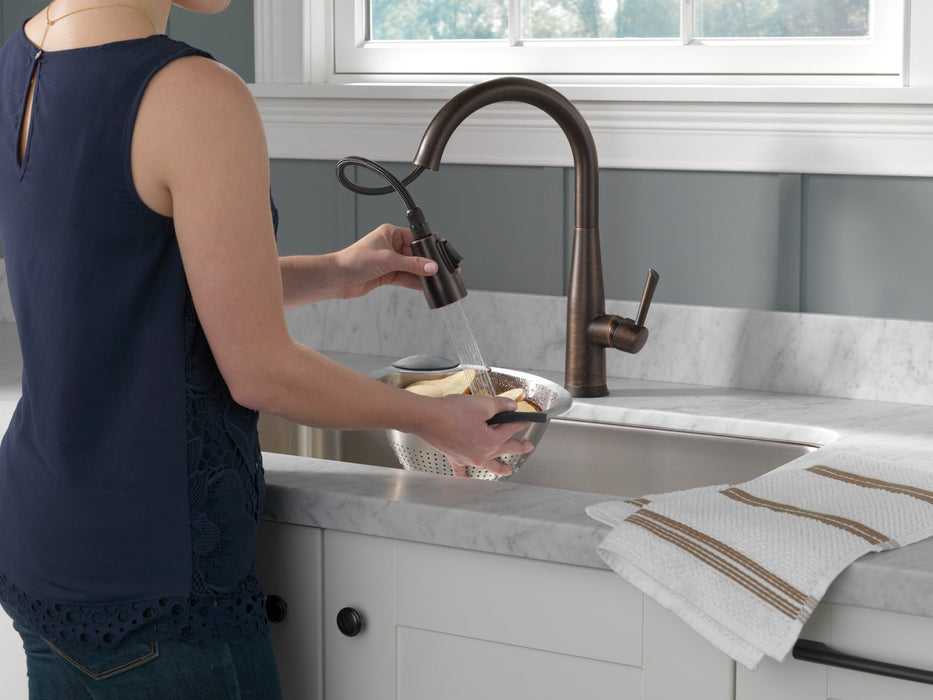 Delta Essa 9113TV VoiceIQ Single Handle Pull-Down Faucet with TouchTouch 2O Technology
