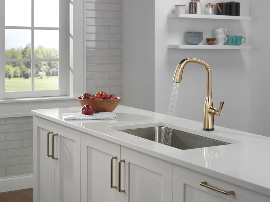 Delta Stryke 9176T Single Handle Pull-Down Kitchen Faucet with TouchTouch 2O Technology
