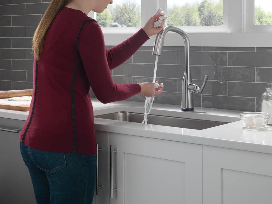 Delta Stryke 9176TV TouchTouch 2O Pull-Down Kitchen w/ Voice