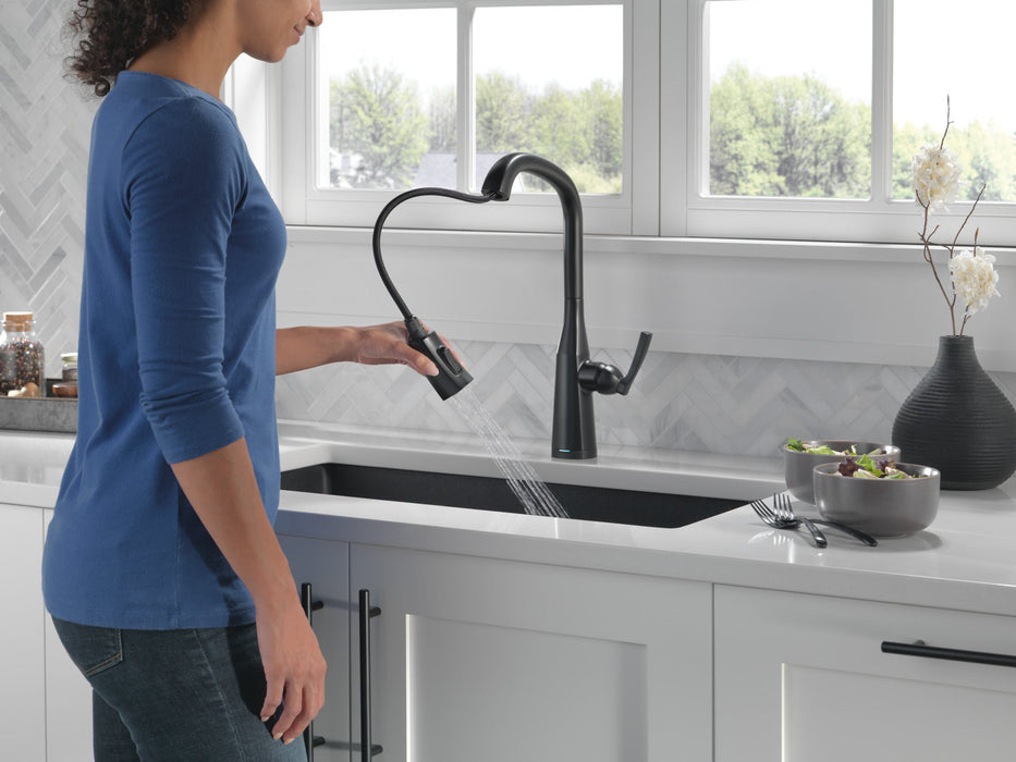 Delta Stryke 9176TV TouchTouch 2O Pull-Down Kitchen w/ Voice
