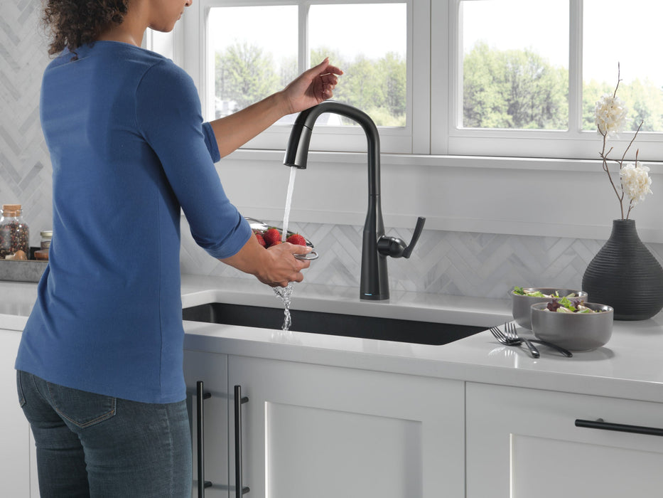 Delta Stryke 9176TV TouchTouch 2O Pull-Down Kitchen w/ Voice