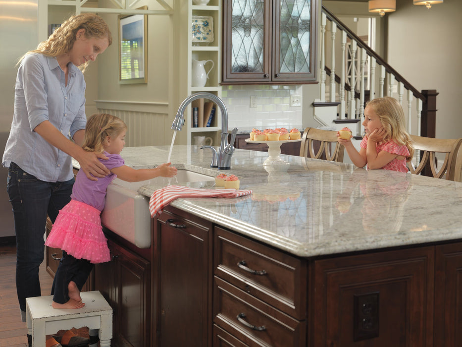 Delta Leland 9178T Single Handle Pull-Down Kitchen Faucet with TouchTouch 2O and ShieldSpray Technologies