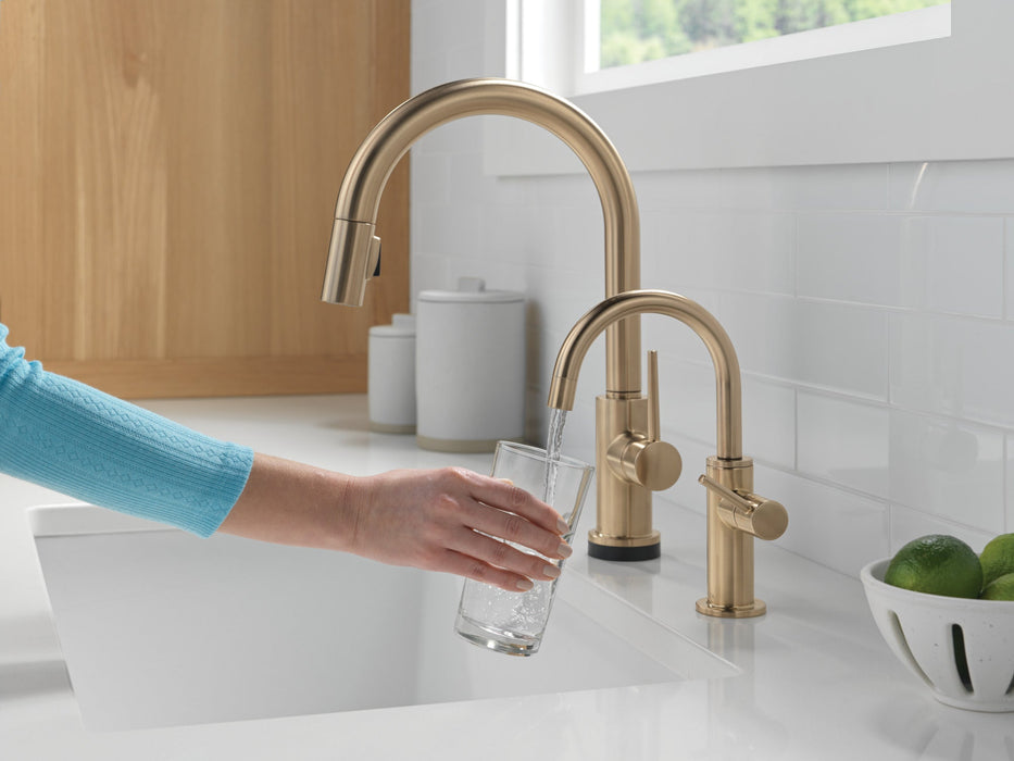 Delta 1930 Contemporary Round Beverage Faucet