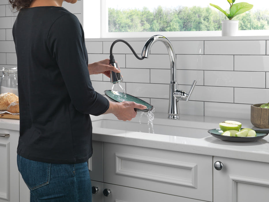 Delta Coranto 9179 Single Handle Pull-Down Kitchen Faucet