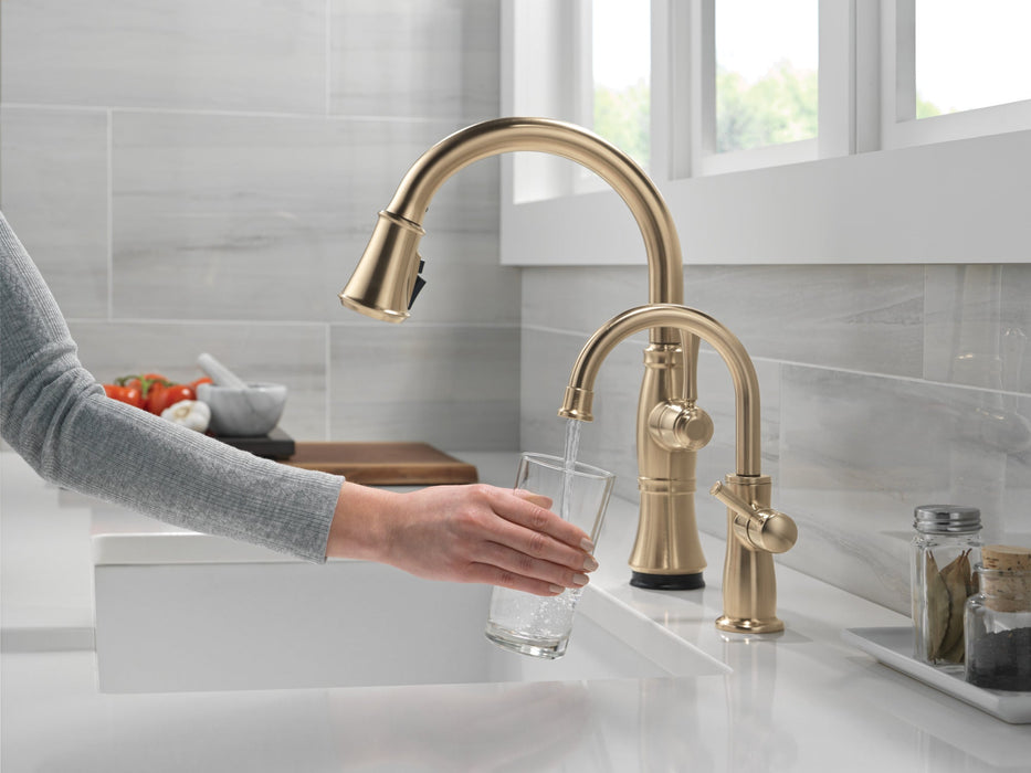Delta 1960 Traditional Beverage Faucet