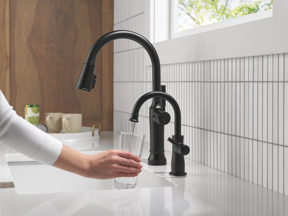 Delta 1960 Traditional Beverage Faucet